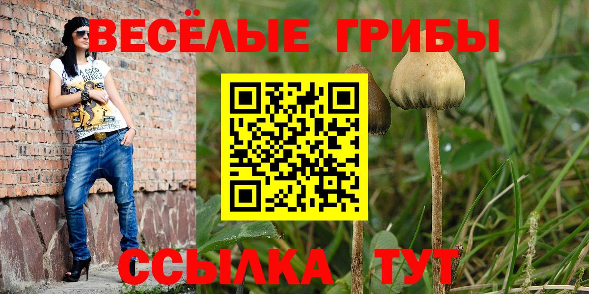 Псилоцибиновые грибы прущие грибы Можга